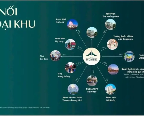 ket noi vung tai imperia holiday the bayside